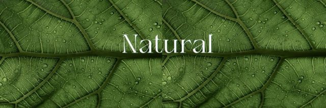 a leaf close up representation of natural ingredients used in skin care.