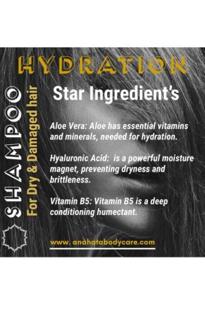 True Hydration Shampoo for Dry Hair: Aloe Vera & Hyaluronic Acid Formula Ingredients.