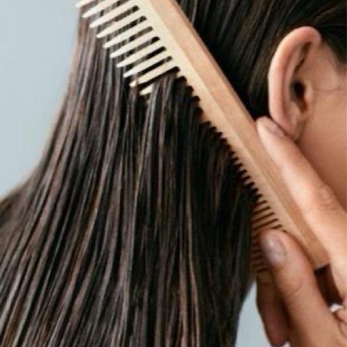 [themify_layout_part slug="hair-care-button"]